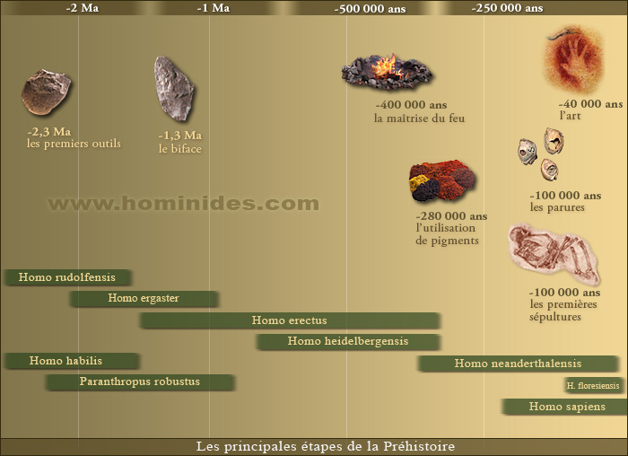 Les grandes avancées de la préhistoire