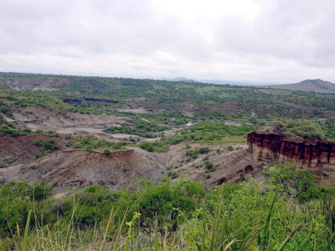 Gorges d'Olduvai