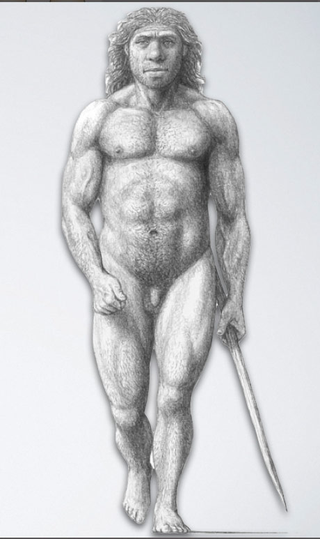 Neandertal - M. Anton