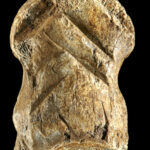 Gravure sur os attribuée à Néandertal