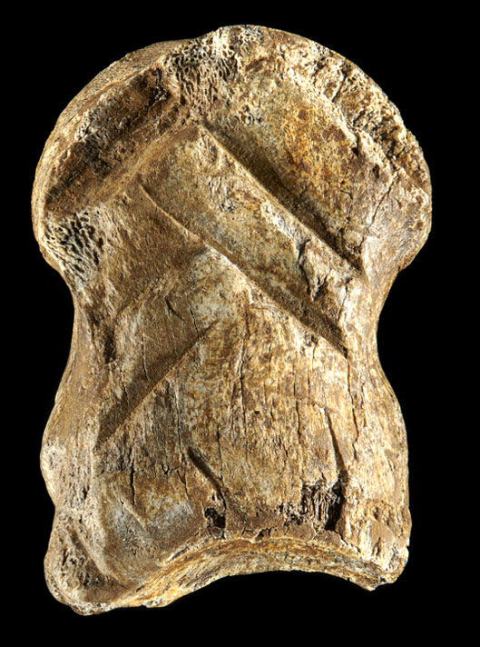 Une phalange de mégacéros gravée par Néandertal  ?