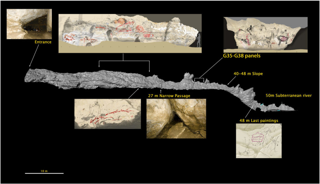 Profil de la grotte de Marsoulas