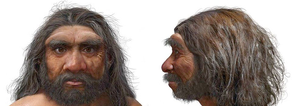 Reconstitution face Homo longi