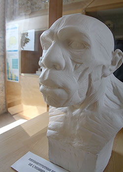 Buste Néandertal