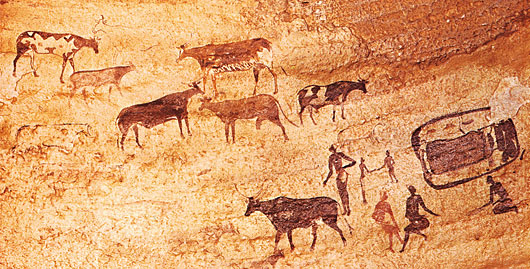 Elevage bovins néolithique
