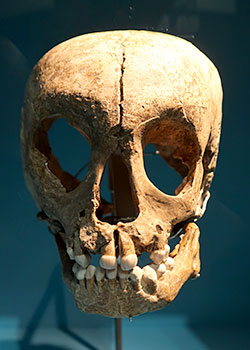 Crâne Pech-de-l'Azé 1