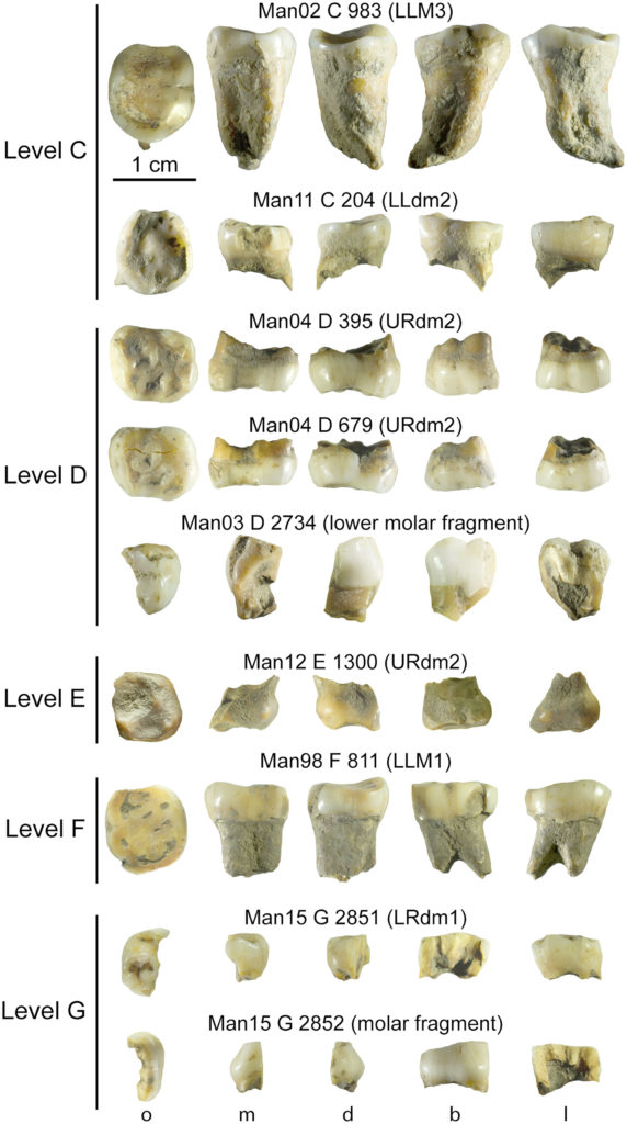 9 dents grotte Mandrin