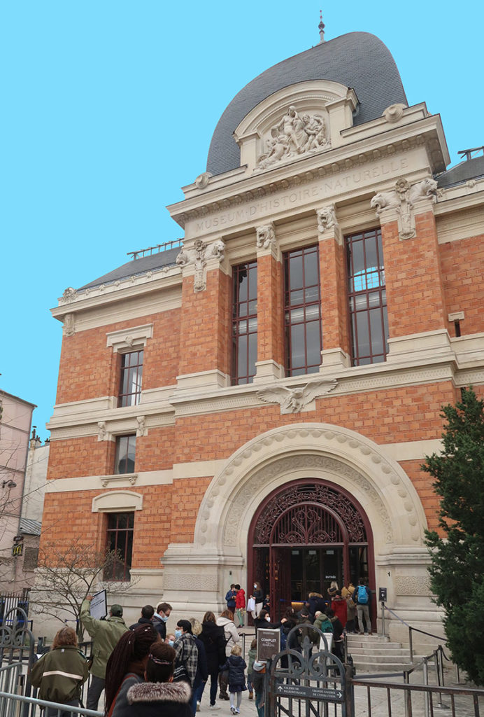 Entrée de la Galerie de Paléontologie