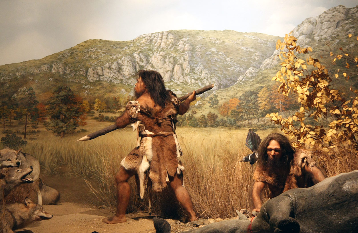 Homo erectus armé