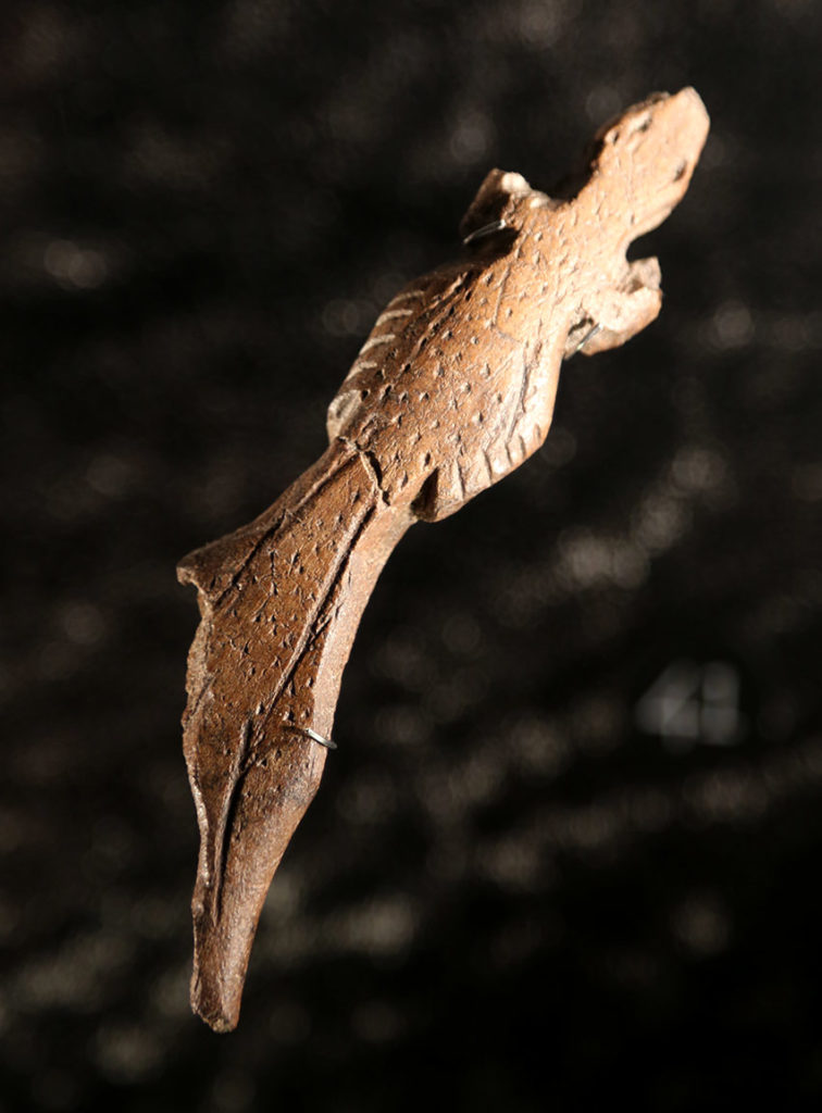 Salamandre sculptée