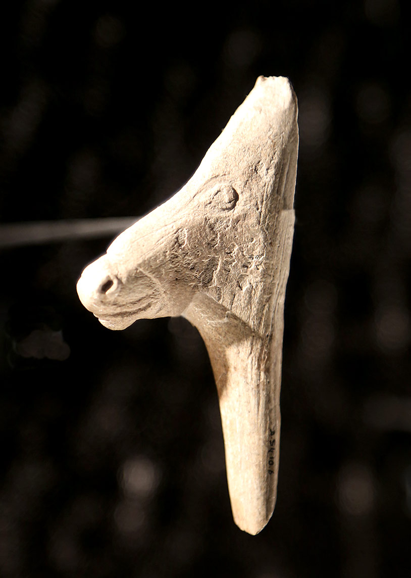 Tête de Cheval Sculptée
