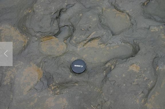 Des empreintes de pas de 780 000 ans au moins, en Grande-Bretagne