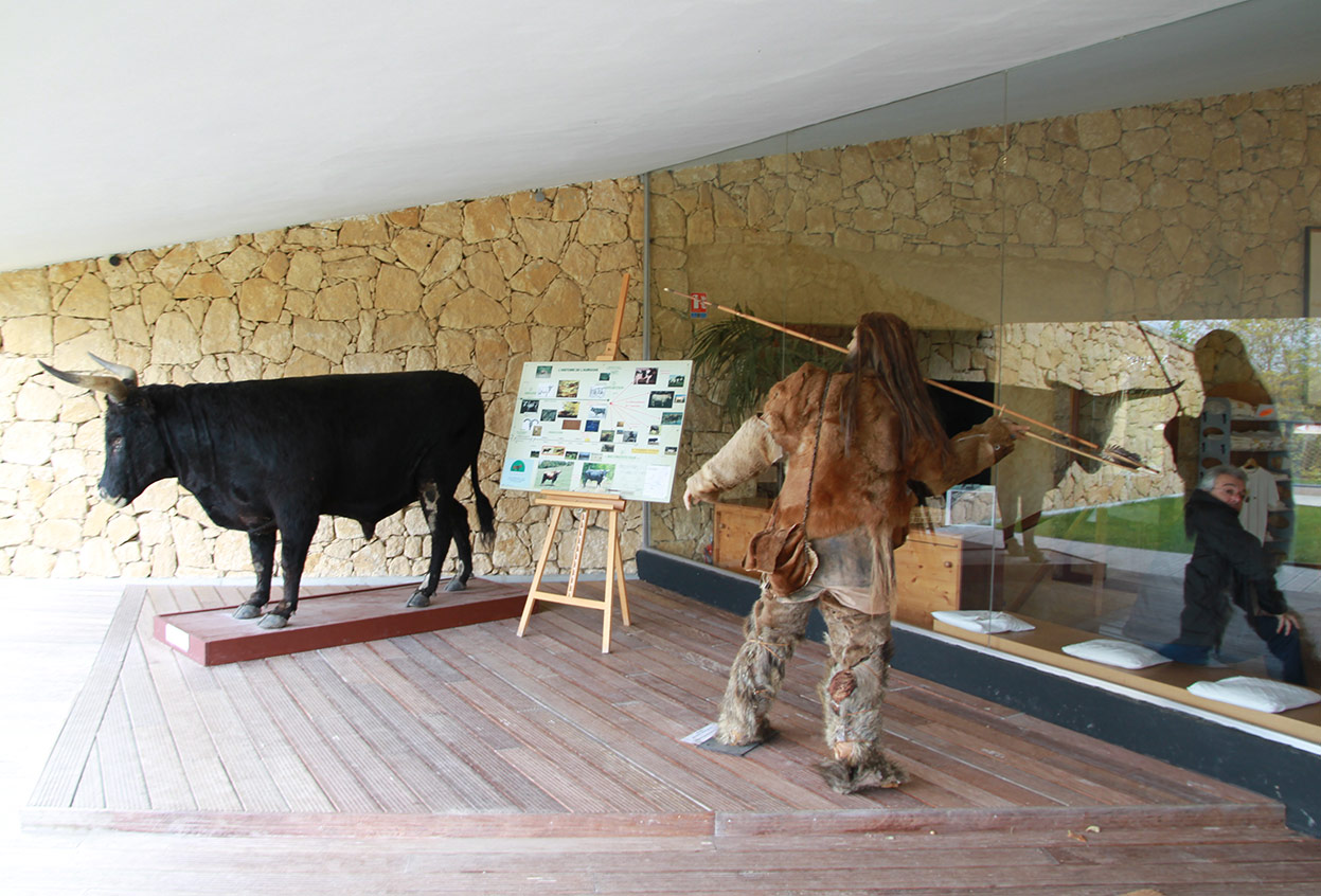 Chasseur paléolithique