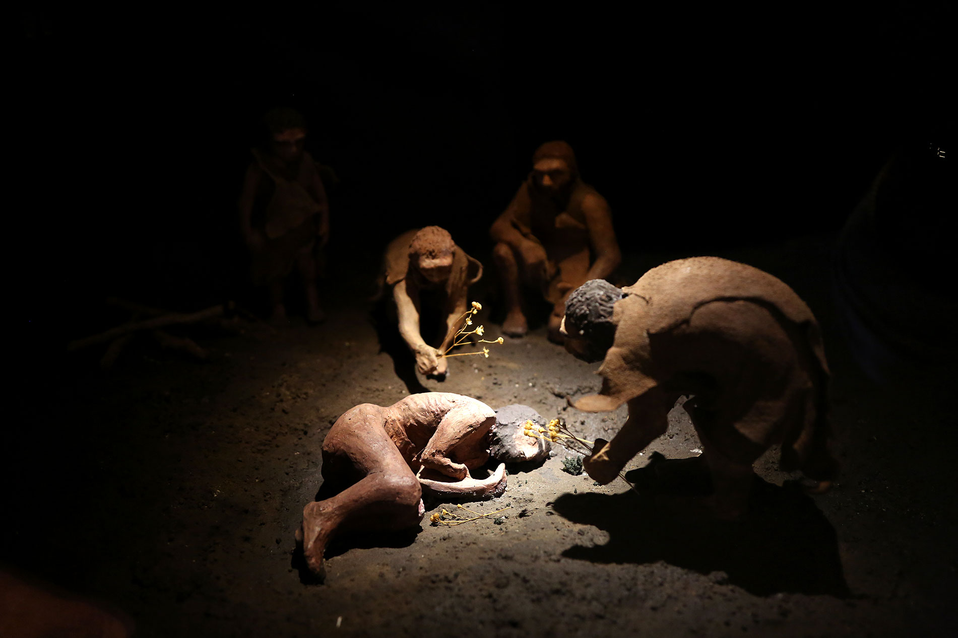 Reconstitution d'un rite funéraire néandertalien - Shanidar IV