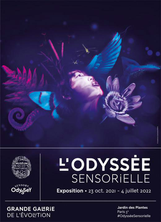 L’Odyssée sensorielle