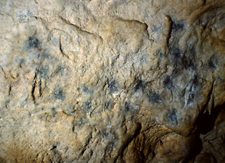 Pointillés