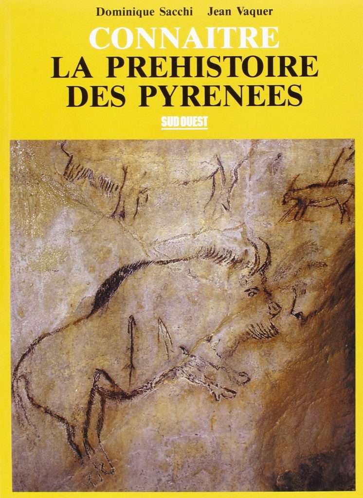 Connaître la préhistoire des Pyrénées - Livre