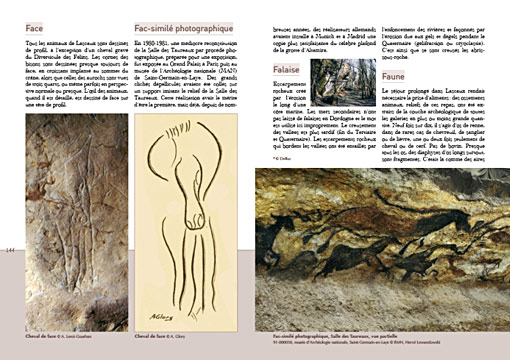 Dictionnaire de Lascaux