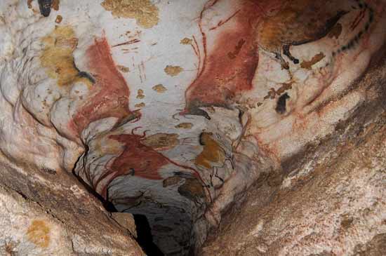 Les champignons de Lascaux