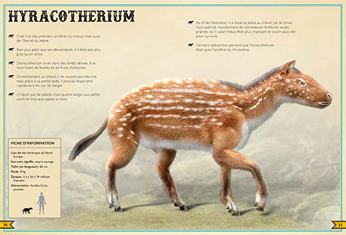 Hyracotherium