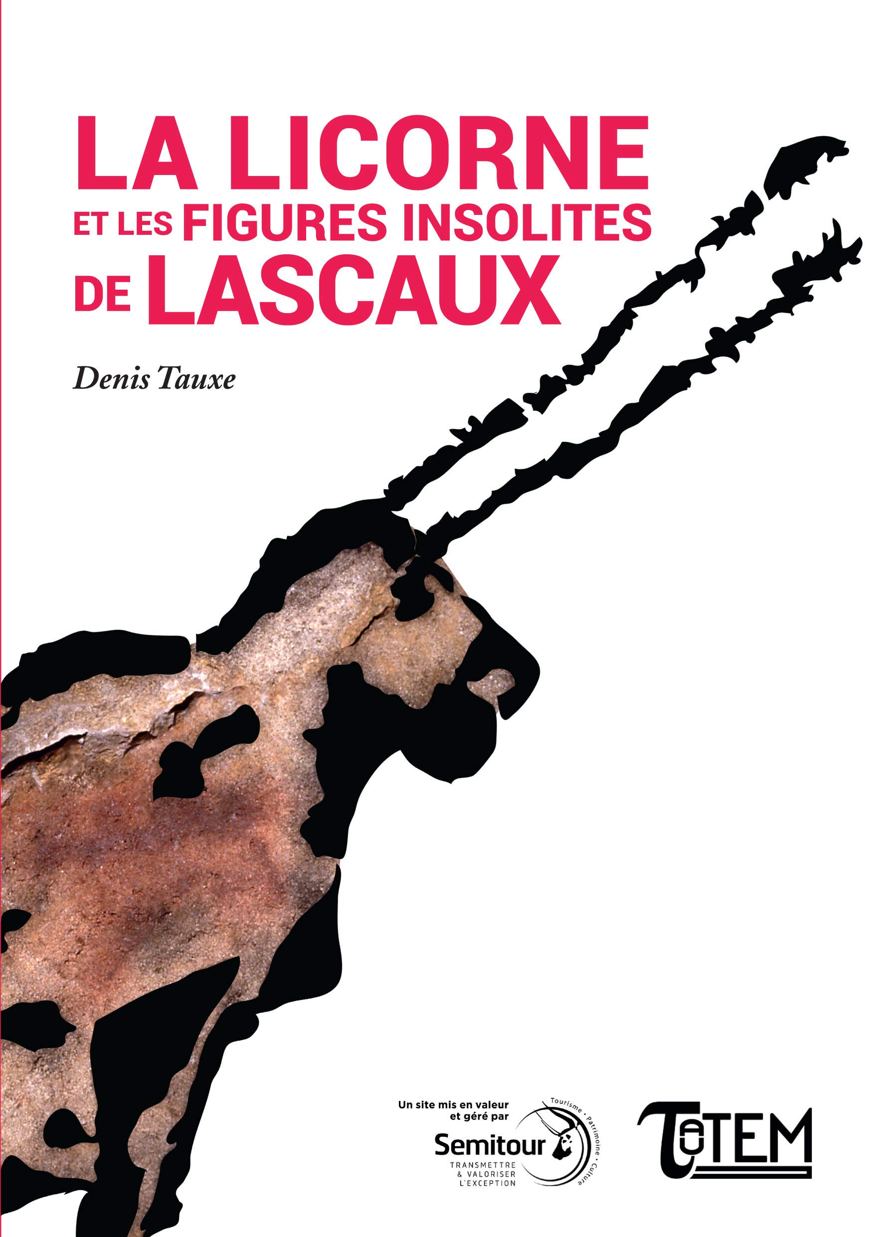 L’homme de Lascaux et l’énigme du puit