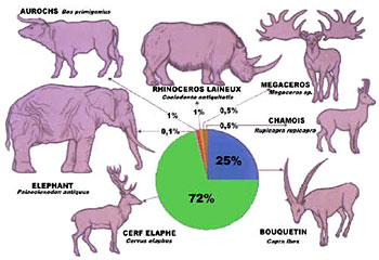 Faune Lazaret