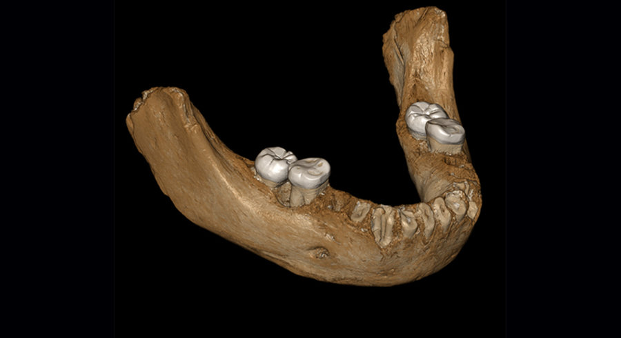 Après la Sibérie, la présence des Denisoviens est attestée au Tibet il y a 160 000 ans