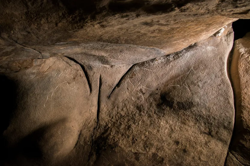 Art rupestre préhistorique en forêt de Fontainebleau : nouveaux regards