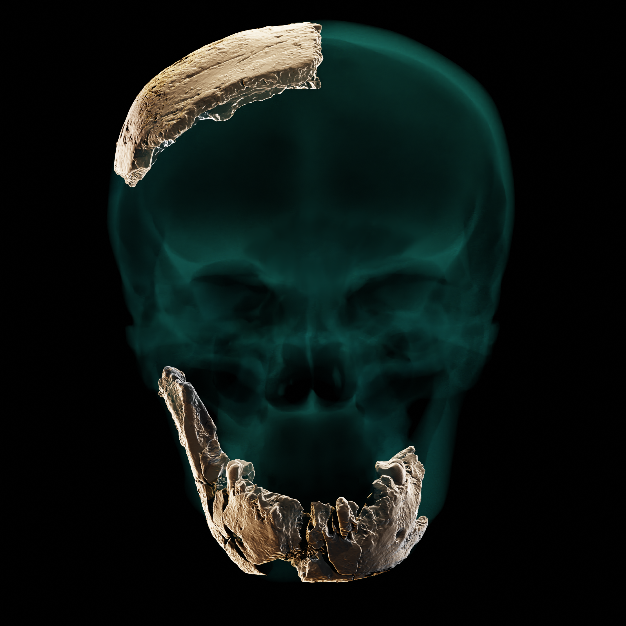 Un hominidé non identifié à Nisher Ramia ?