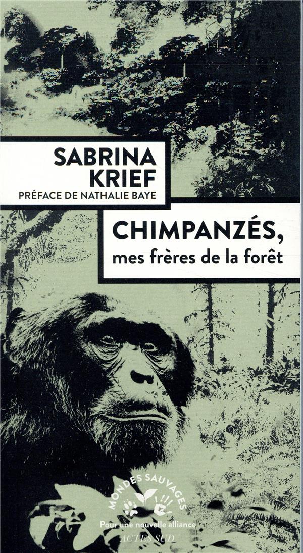 Chimpanzés, mes frères de la forêt