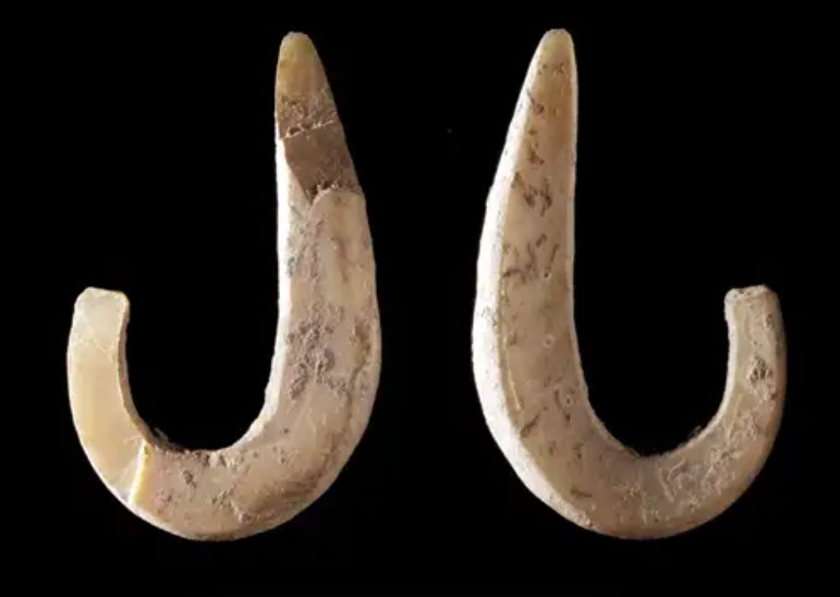 Premières preuves de pêche en haute mer il y a 42 000 ans - Hominides