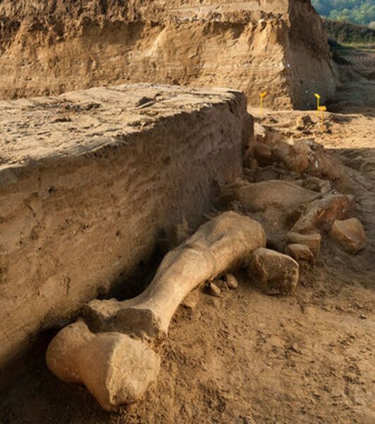 Qui a chassé le mammouth en France à Changis-sur-Marne ?