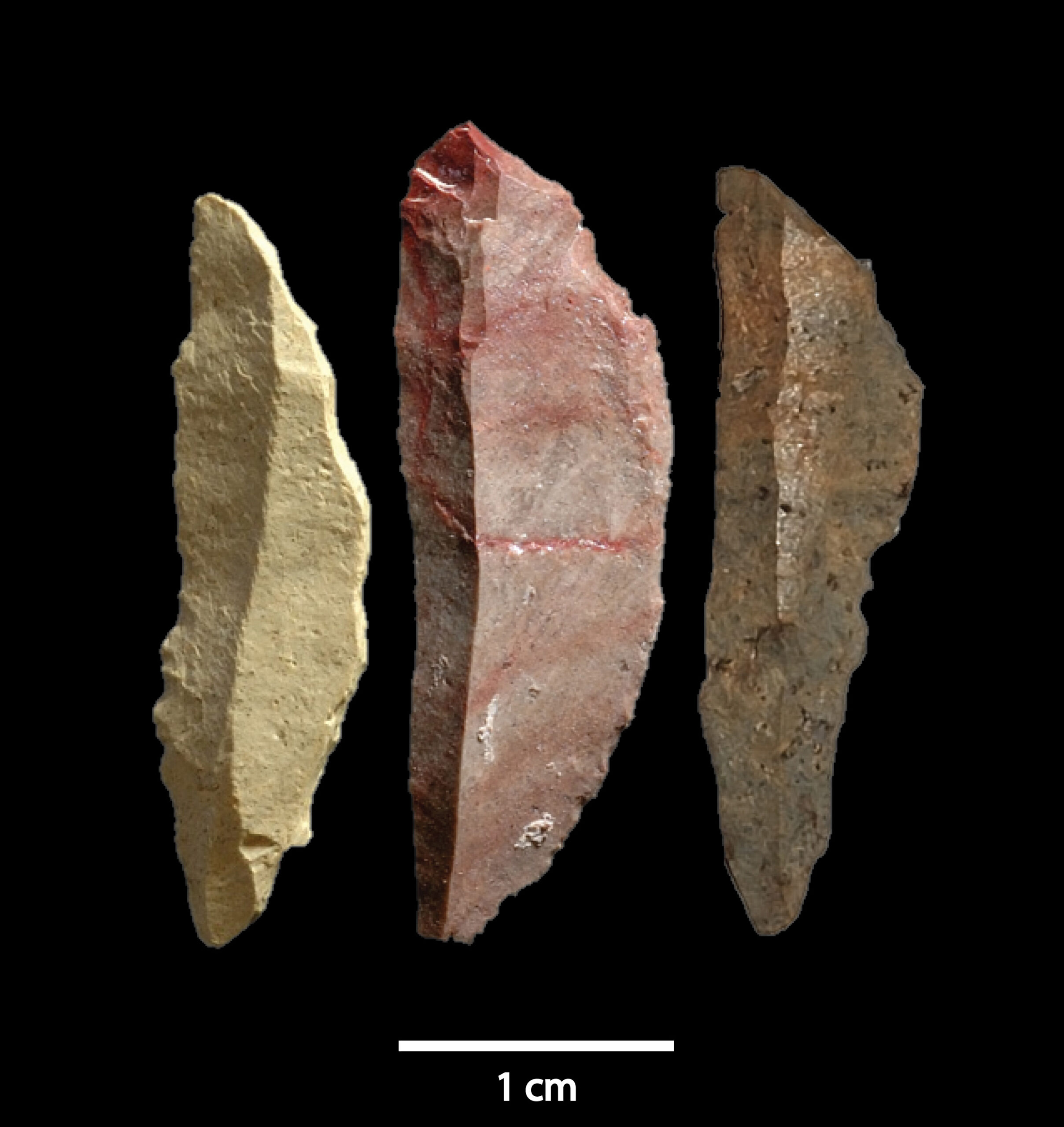 Schöningen, le site aux javelots vieux de 300 000 ans