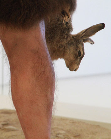 Le lapin, petit gibier de choix pour Néandertal