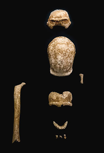 Guattari, des hyènes et des Néandertaliens
