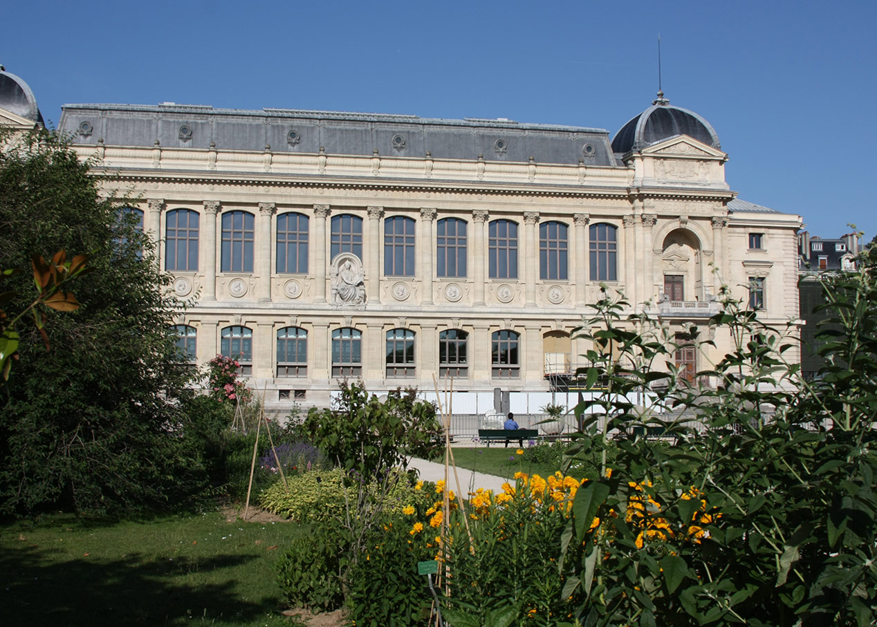 Le Jardin des Plantes – Partie 2/2 – Les Musées