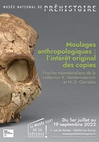 Moulages anthropologiques : l’intérêt original des copies