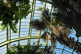 Les Serres du Jardin des Plantes, la renaissance !