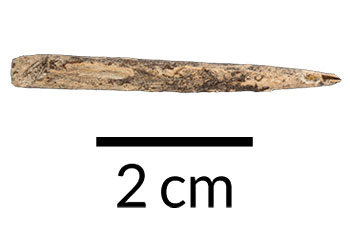 La préhistoire de l’Australie commence bien il y a 49 000 ans (au moins)