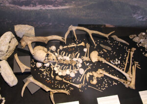 Musée de Préhistoire de Carnac Hominides