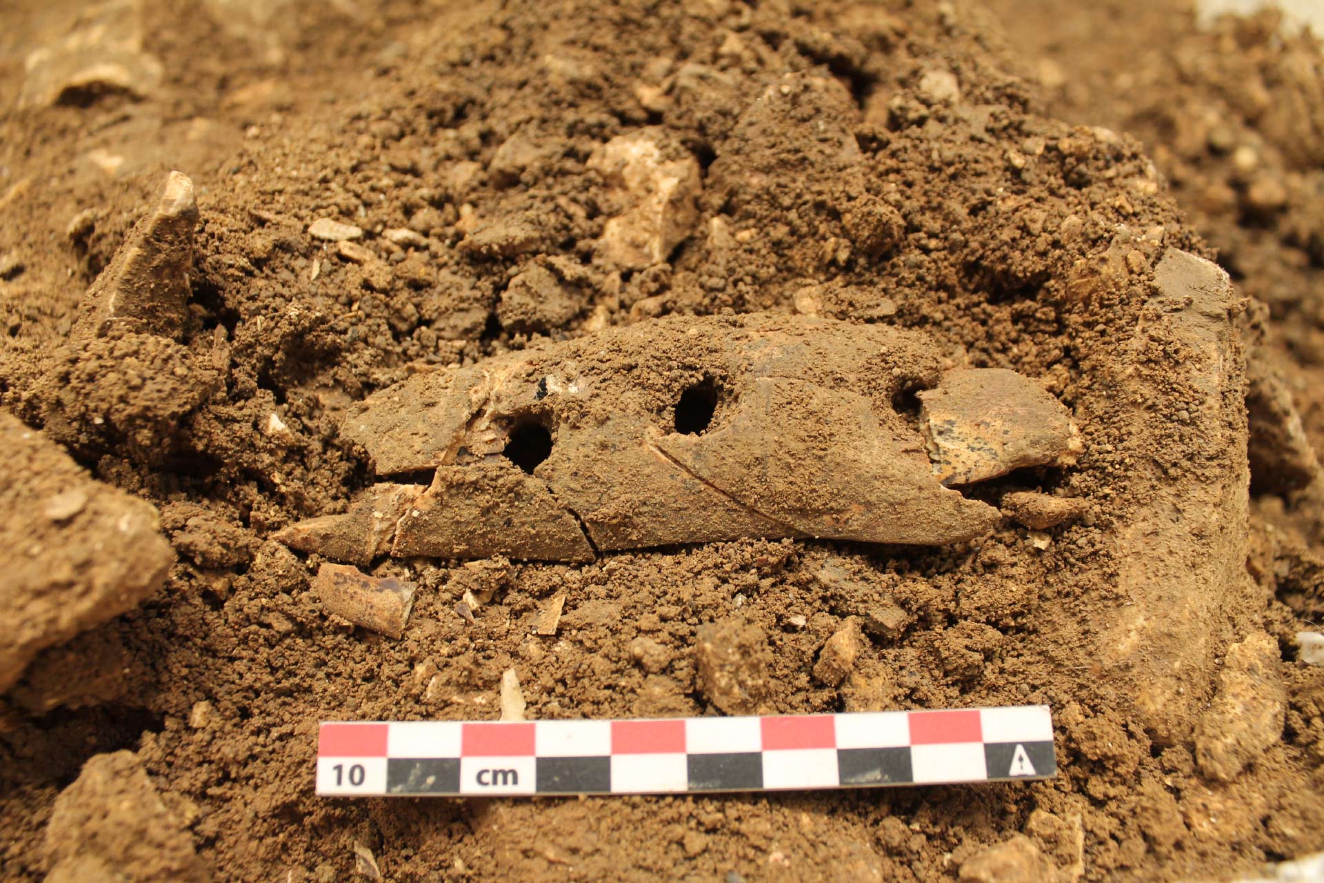 Un outil pour fabriquer des cordes il y a 40 000 ans en Allemagne !