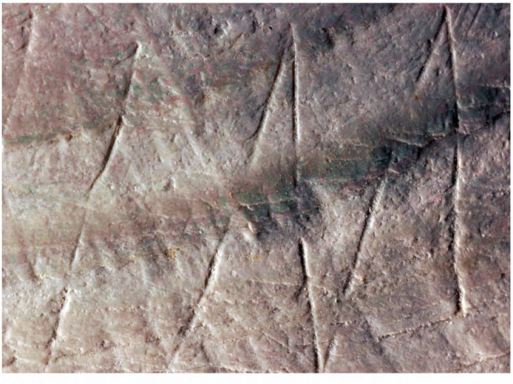 Des signes gravés il y a 500 000 ans…