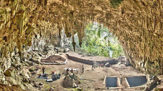 Homo floresiensis s’est éteint il y a 50 000 ans