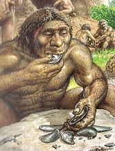 Néandertal consommait des coquillages il y a 150 000 ans