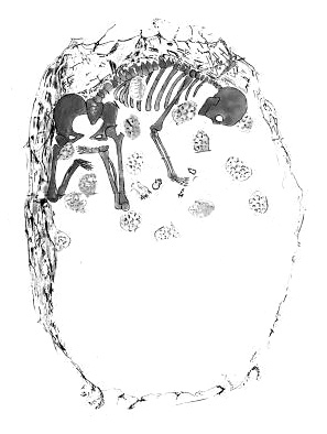 Un rituel funéraire du Natoufien il y a 12 000 ans