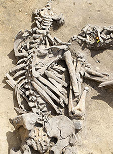 Tuerie au Néolithique, à Achenheim, il y a 6 000 ans 