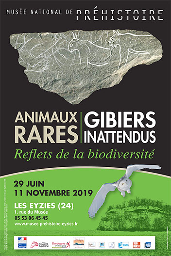 Animaux rares, gibiers inattendus
