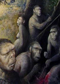 L’environnement des hominidés il y a 1,8 millions d’années n’était pas un long fleuve tranquille !