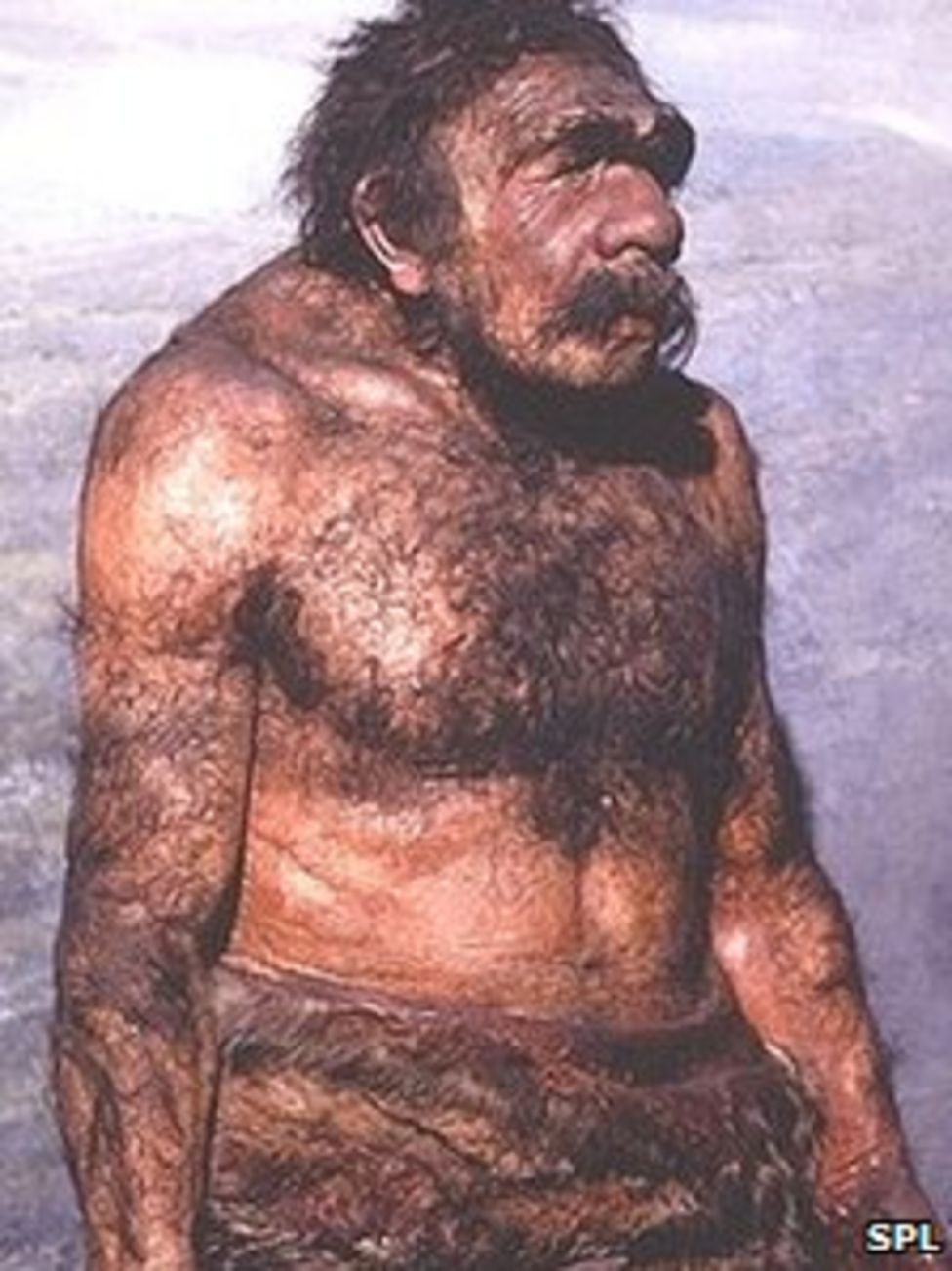 Néandertal mangeait des plantes et des légumes qu’il faisait probablement cuire !