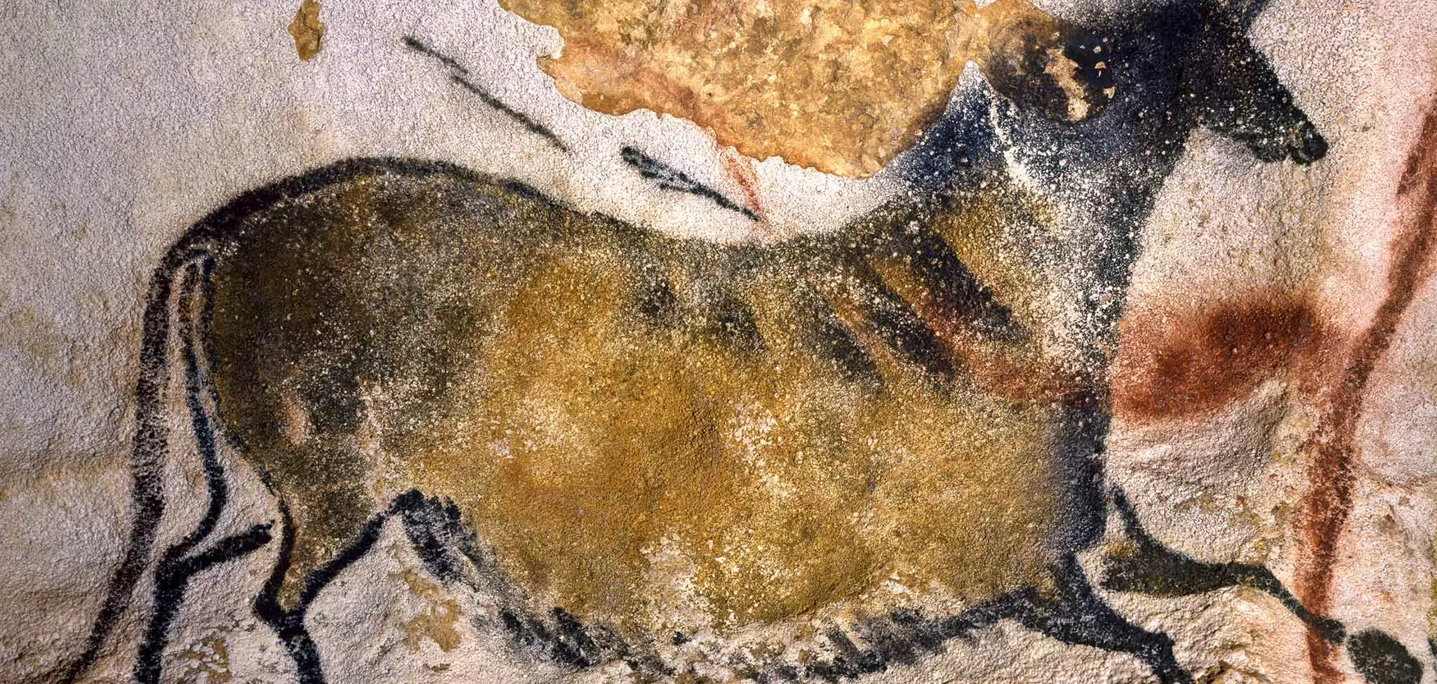 Lascaux Une uvre De M moire Hominides Lascaux Une uvre De M moire Hominides
